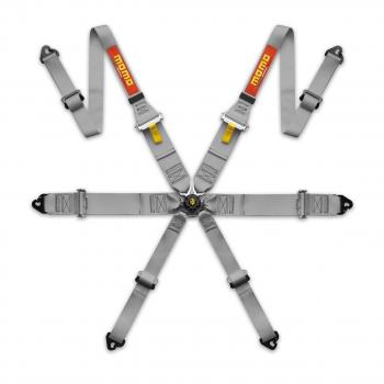 SICHERHEITSGURT PRO DRIVER 6P 2"/3" FHR-Grau